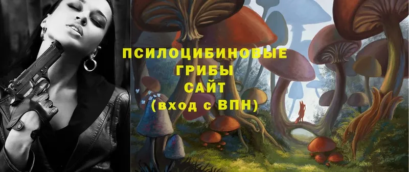 купить наркоту  Исилькуль  Псилоцибиновые грибы Magic Shrooms 